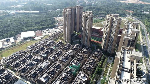 大隐于市（88集），城市中的隐秘人生