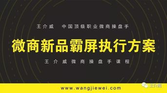 绝对占有，深度解析与独特视角（100集系列文章）