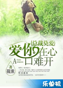 爱你在心口难开（63集）