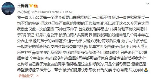妻子的背叛（电视剧剧本，共五十集）