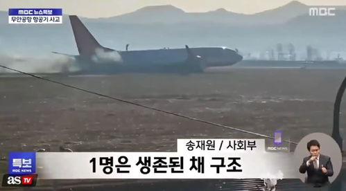 韩国空难细节披露，二次着陆时坠毁——灾难背后的真相探寻