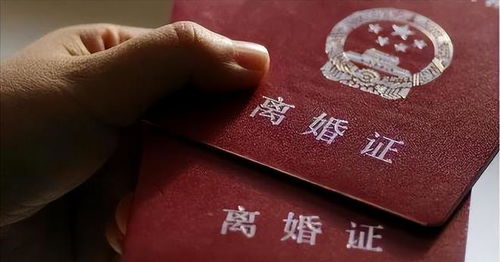 离婚当天，千亿总裁带我去领证（90集）