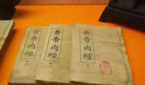 九龙医圣，医术与智慧的融合（99集深度解析）