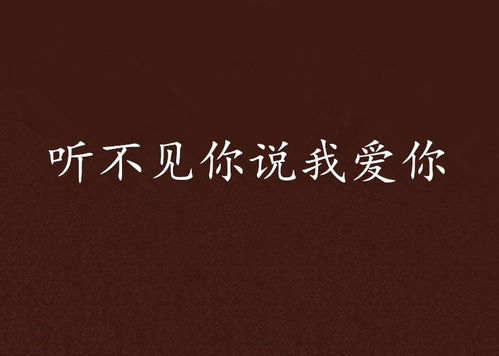 在你看不见的地方爱你（69集）