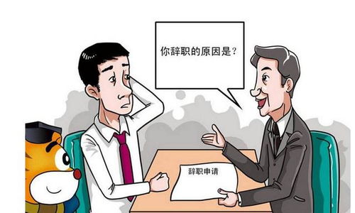 雀笼（100集），离职后的甜蜜转变，我被老板宠上天