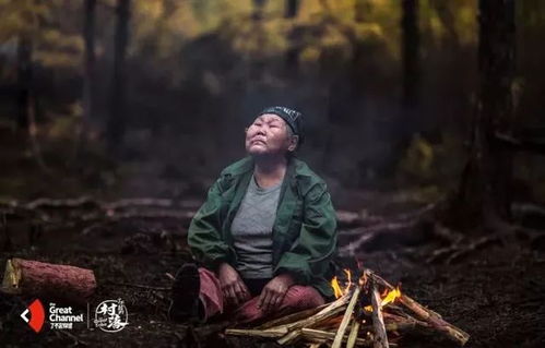 她的伤痕荣耀（第74集）——卢C鹿鹿的传奇故事