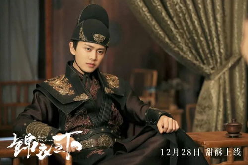 女扮男装后锦衣卫大人爱上我（33集）