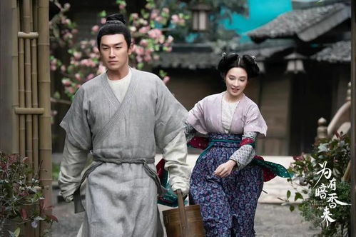 无双小县令，穿越剧的巅峰之作（84集）
