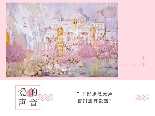 繁花初见不知返（第101集），探索与归途的交织