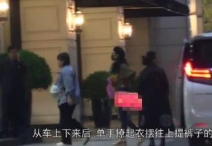 肥娟再次被老板老板老板声浪淹没，音乐与情感的交织