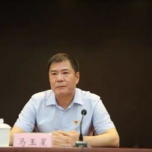 山东省委第四巡视组原组长马玉星获刑，巡视反腐的铁拳下的罪与罚