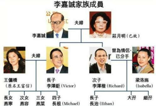我是首富继承人（92集）罗司纯