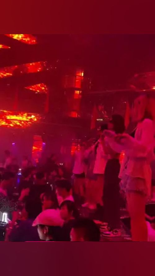 禁婚在路总的心上蹦迪（79集），安安的爱情之旅