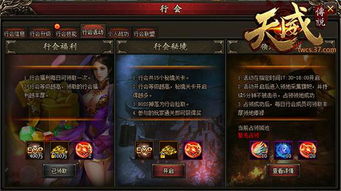 雄冠天下，一部跨越时代的传奇史诗（90集深度解析）