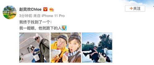 作精美人在恋综爆红了（集萃100集）