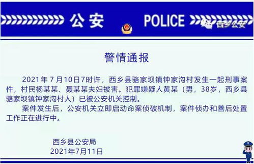 镇党委书记在工作群发不雅内容事件深度剖析