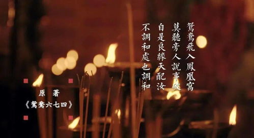 爱是常觉亏欠（44集）——爱的深度与力量的探索