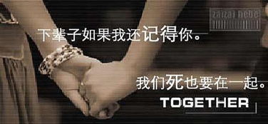 如果这辈子我还记得你（83集）