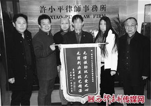 平民大律师（95集），正义之光照亮人心
