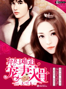 天降总裁老公合集，都市爱情的新篇章