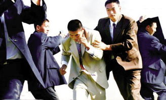 我的保镖是世外高人（88集）