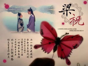 闪婚夕阳红，一场跨越岁月的爱情故事（73集深度解析）