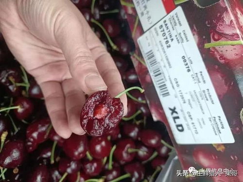 车厘子价格为何断崖式下跌