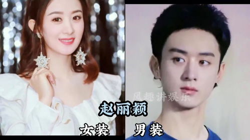 赵露思得的分离转换性障碍，深度解析与理解