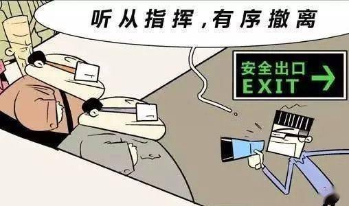 银川金凤区突发4.6级地震，影响与应对
