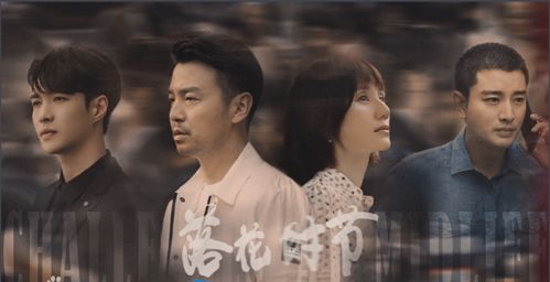 报告少帅，夫人有危险（99集）剧情深度解析与人物情感纠葛探讨