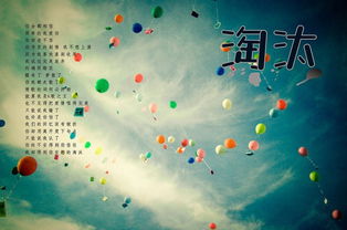 万人之上，杨晓萱的传奇人生（80集）