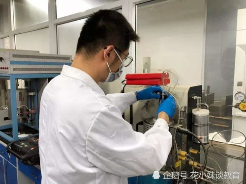 小伙凌晨猝死，法医称或为撑死遭质疑——深度探讨现代生活压力与健康问题