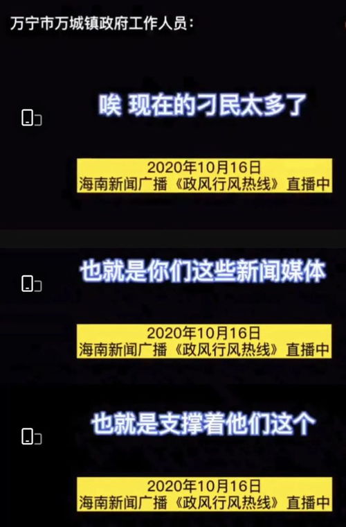 总想刁民来害朕，权力的博弈与智慧的较量（100集剧情概述）