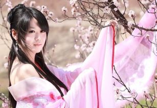 逍遥赘婿，古代智慧与现代的交融