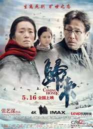 废后归来，命运交响曲的90集震撼演绎
