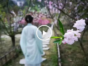 向阳花木易为春——倾城时光（集）