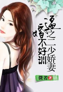 我的女友不好惹（80集）之我见