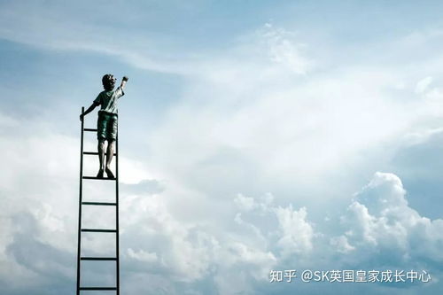 未来的我，引领之路，教我成为首富（80集）