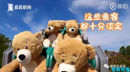 你好，我的泰迪熊哥哥（37集）——与杨咩咩的温馨时光