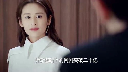 从邂逅女总裁的开始