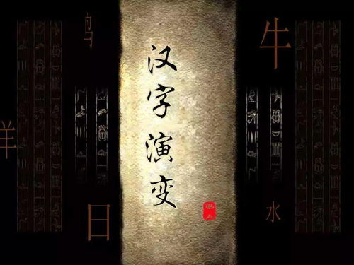 潜龙在渊，揭开4436新的神秘面纱（80集深度解析）