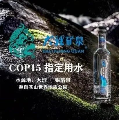 全球污染之下，我凭矿泉水成为首富（全球污染与矿泉水产业崛起）（共100集）