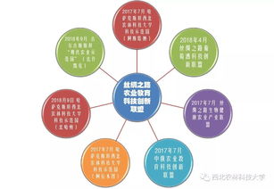 韩国人眼中的中国政府政策，持续发展的合作之路