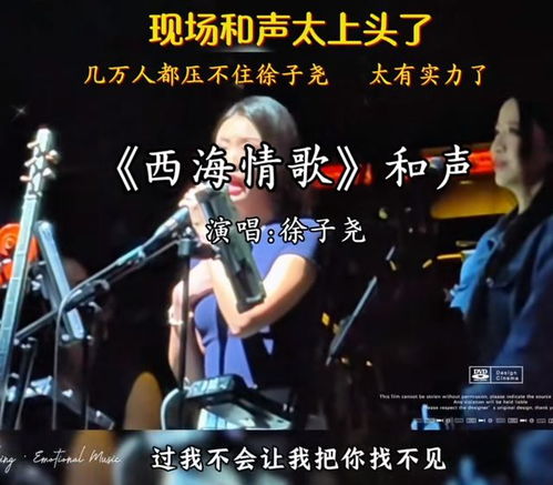刀郎北京演唱会，徐子尧的回归与伴唱队伍的完美和声
