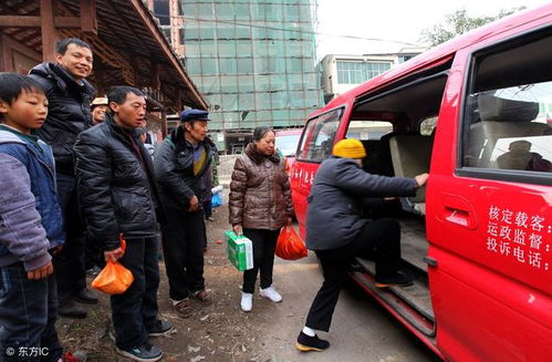 司机高速上将女孩拽下车被行拘，事件深度解析与反思