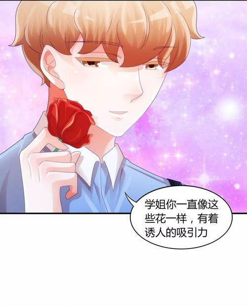 闪婚对象竟是豪门大佬