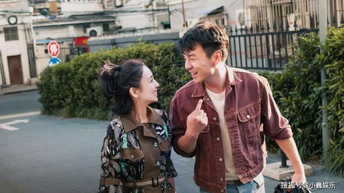马甲夫妇，一场跨越时空的爱恋（86集剧情深度解析）