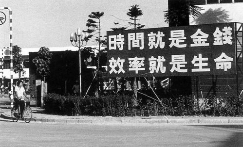 激荡人生（97集），探寻生命的力量与价值