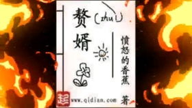 绝世萌宝，穿越古代当王妃（95集）的奇幻之旅
