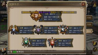 郡马无敌，荣耀征程的100集壮丽史诗